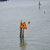 Anno 2015 &raquo; Chioggia_2015